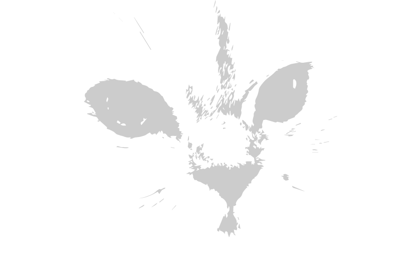 Perser Deckkater